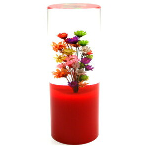  Vtgmu ԃ~bNX }`^Cv BW gbN Vtgmu mu lC   g  t[ 킢  