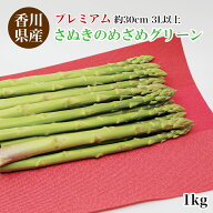 送料無料 出荷当日の今朝採れ 1kgさぬきのめざめ プレミアム 30cm 3L以上 グリーンアスパラ アスパラ ア…