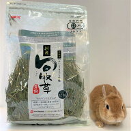 GEX 旬牧草イタリアンライグラス120g 牧草 イタリアン イタリアンライグラス ジェックス 小動物 ペット …