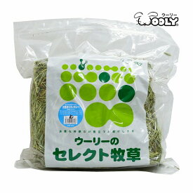ウーリーのセレクト牧草「2番刈りティモシー」アメリカ産 600g