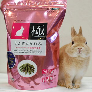 nCybg ̂ 850g Oet[ ybg