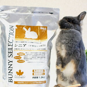 C[X^[ oj[ZNV VjA 1.3kg ybg ybg ybgp  e ETM