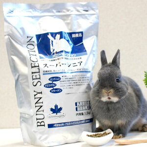 C[X^[ oj[ZNV X[p[VjA 1.3kg ybg ybg ybgp  e ETM