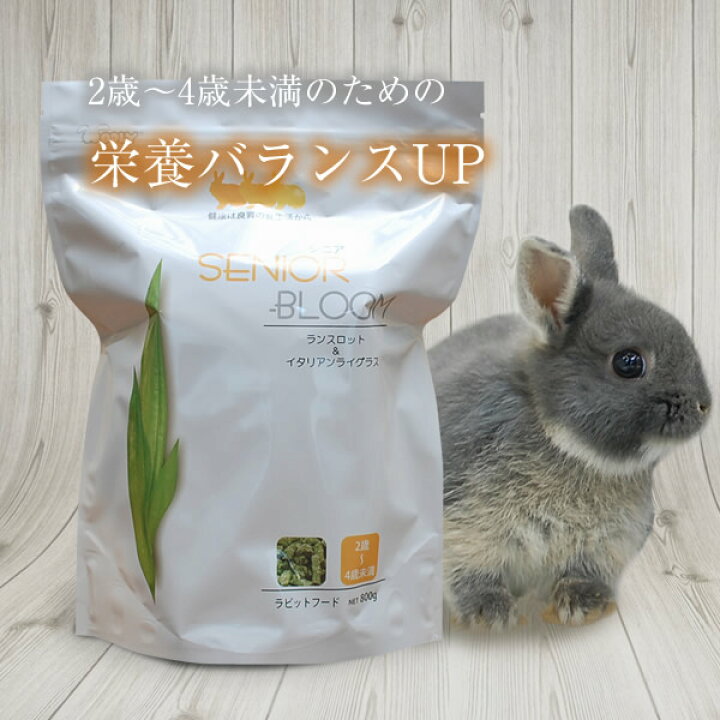 楽天市場 ウーリー シニアブルーム 800g 生後2歳 4歳 うさぎ ペレット うさぎ専門店の食彩 Truegrasses