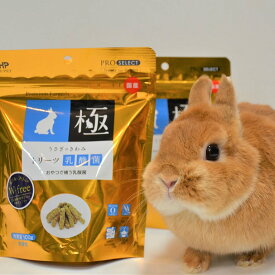 うさぎのきわみトリーツ乳酸菌100g ハイペット ペット ウサギ 餌 うさぎ 兎 ペット用 毛球症 おやつ【メーカー値上げ】