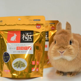 うさぎのきわみトリーツ毛玉ケア100g ハイペット ペット ウサギ 餌 うさぎ 兎 ペット用 毛球症 おやつ