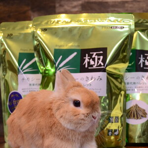 nCybg `V[̂ 400g×3@`V[ ybg ybgp a GT  e ETM