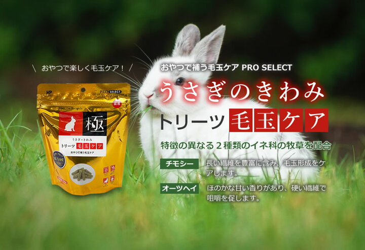 楽天市場 うさぎのきわみトリーツ毛玉ケア100g ハイペット ペット ウサギ 餌 うさぎ専門店の食彩 Truegrasses