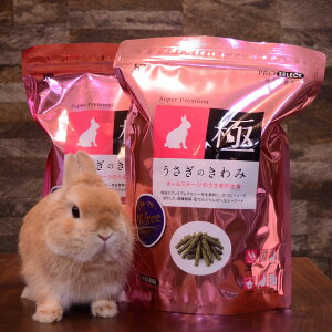 nCybg ̂ 850g×2@@ETM  e ybg a GT ybg