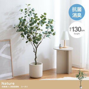 『Nature(ナチュレ)』シリーズのユーカリ 【高さ130cm】Nature 光触媒人工観葉植物 ユーカリ 光触媒 人工 観葉植物 インテリア 消臭 抗菌 防汚 造花 フェイクフラワー フェイク