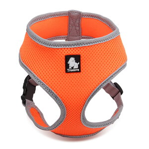 yTruelovez n[lX p n[lX bV ^ ^ ^ uh L  \tgpbh ȒP KbVn[lX  TLH1911