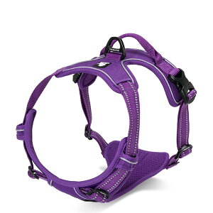 yTruelovez̃n[lX p n[lX   nht nbV \tg ^ ^ ^ ^ uh i ȒP nhn[lX Ռz TLH5651