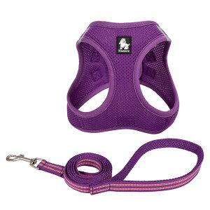 yTruelovez n[lX [h ^ L y K bVNbV v ʋC  ȒP Truelove uh ^b`obN Up  ^ybgpn[lX [hZ