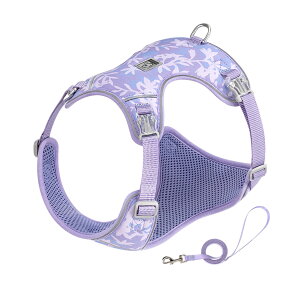 yTruelovez n[lX [hZbg ^ ^ KXpfbNX iC S5F 3Mˑf y ʋC _炩 bV ₷  y L ybg EȂ 