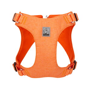 yTruelovez n[lX ^ ^ ^   킢 GR SDGs u[TCF z y Ռz v lC U gD[u uh ˍޕt S K  