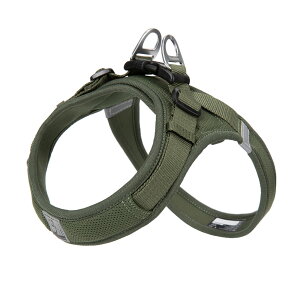 yTruelovez n[lX Jt 13F ^ ^ ʂȂ y 킢 ʋCQ y \tgNbV 炩 v Truelove uh  bV NbV ̍\