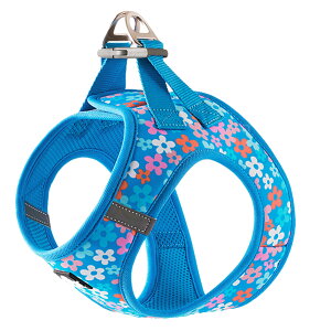 yTruelovez n[lX 킢   p^[ L ^ ^  uh bV y vbVobN ȒPE K nbs[p^[ xXg^ C[W[NCbN  