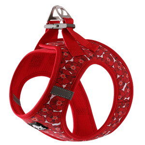 yTruelovez n[lX 킢   p^[ L ^ ^  uh bV y vbVobN ȒPE K nbs[p^[ xXg^ C[W[NCbN  