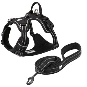 yTruelovez n[lX [h Zbg K bV SȂ ȒP ^ ^ ^ ₷ uh AEghA U Ђςh~  g[jOv iC