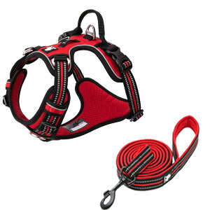 yTruelovez n[lX [h Zbg K bV SȂ ȒP ^ ^ ^ ₷ uh AEghA U Ђςh~  g[jOv iC