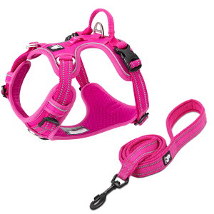 yTruelovez n[lX [h Zbg K bV SȂ ȒP ^ ^ ^ ₷ uh AEghA U Ђςh~  g[jOv iC