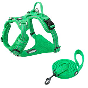 yTruelovez n[lX [h Zbg K bV SȂ ȒP ^ ^ ^ ₷ uh AEghA U Ђςh~  g[jOv iC