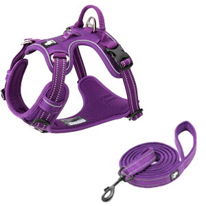 yTruelovez n[lX [h Zbg K bV SȂ ȒP ^ ^ ^ ₷ uh AEghA U Ђςh~  g[jOv iC