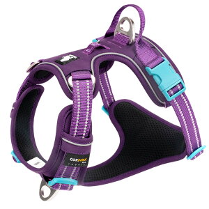 yTruelovez n[lX nbV ʋC 炩 S̏Ȃ R[f v~A uh Ȃ ԈS @\ b ^b` obN 3F/5TCY ^ 