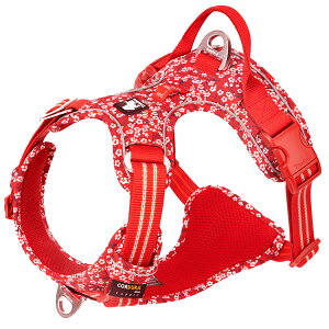 y|Cg10{Izyz n[lX  nbVŗ ʋC R[ff v a ԕ Truelove uh ȒP ʂ t₷ ֗ AEghA S̏