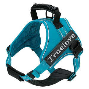 yTruelovez n[lX ^ ^p nht  uh AEghA ₷ NbV \tgpbh ȒP K AEghAybgn[lX TLH5753