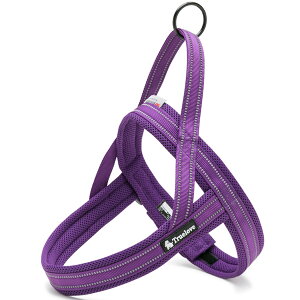 yTruelovez n[lX 킢  SȂ AɓȂ ^ ^ ^ uh ȒP AEghA ˑf ԎU bV ʋCQ \tgpbh S