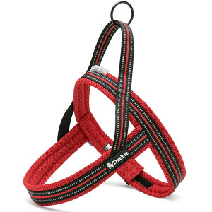 yTruelovez n[lX 킢  SȂ AɓȂ ^ ^ ^ uh ȒP AEghA ˑf ԎU bV ʋCQ \tgpbh S