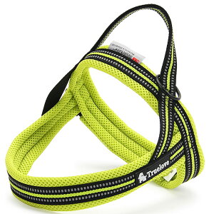 yTruelovez n[lX 킢  SȂ AɓȂ ^ ^ ^ uh ȒP AEghA ˑf ԎU bV ʋCQ \tgpbh S