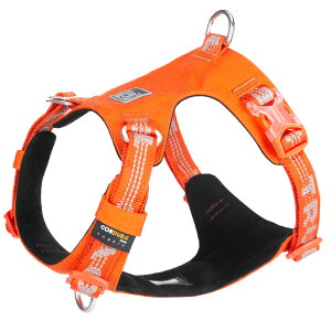 yTruelovez n[lX ^ ^ ^p ȒP uh pbh y ϋvQ R[f ^b`obN Ȃ h~ hH ˋ@\ ʋC S݌v