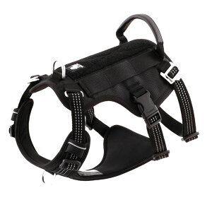 yTruelovez n[lX Ȃ ɂ pb` Eh~ h~ s  v ^ ^p uh AEghA Lv _炩 lIv S 