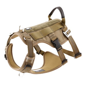 yTruelovez n[lX Ȃ ɂ pb` Eh~ h~ s  v ^ ^p uh AEghA Lv _炩 lIv S 