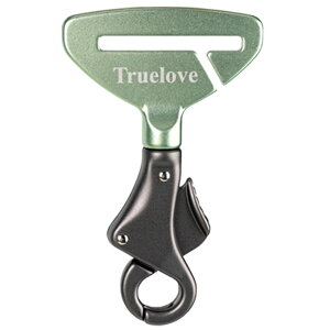 yTruelovez яoh~ V[gxg֎t uh  n[lXɐڑ s SǗ  s TLM1993