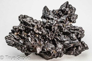 vtFV[Xg[ \ \̐ 83g Tn ґz OEfBO AXeCh f