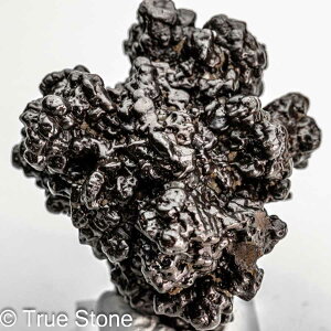 vtFV[Xg[ \ \̐ 100g Tn ґz OEfBO AXeCh f