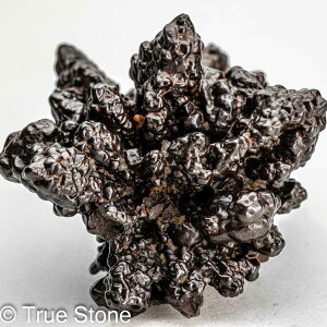 vtFV[Xg[ \ \̐ 74g Tn ґz OEfBO AXeCh f