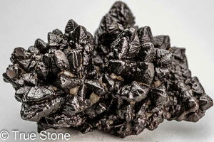 vtFV[Xg[ \ \̐ 89g Tn ґz OEfBO AXeCh f