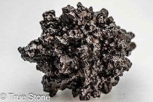 vtFV[Xg[ \ \̐ 75g Tn ґz OEfBO AXeCh f