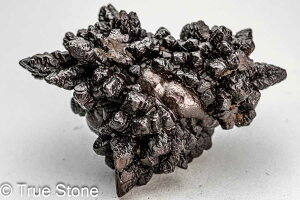 vtFV[Xg[ \ \̐ 61g Tn ґz OEfBO AXeCh f