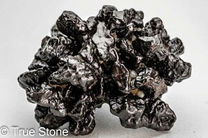 vtFV[Xg[ \ \̐ 85g Tn ґz OEfBO AXeCh f