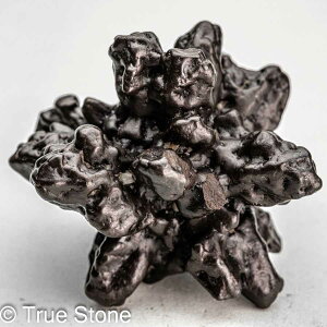 vtFV[Xg[ \ \̐ 43g Tn ґz OEfBO AXeCh f