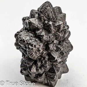 vtFV[Xg[ \ \̐ 75g Tn ґz OEfBO AXeCh f