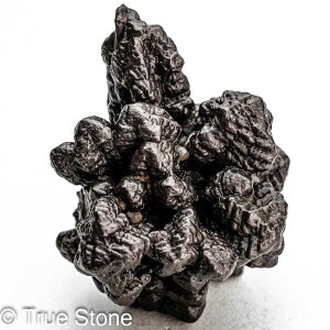 vtFV[Xg[ \ \̐ 42g Tn ґz OEfBO AXeCh f