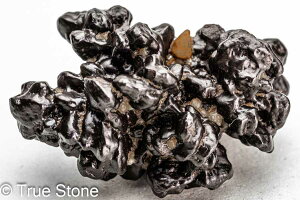 vtFV[Xg[ \ \̐ 19g Tn ґz OEfBO AXeCh f