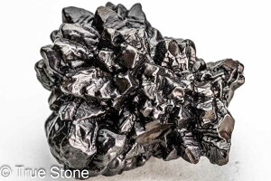 vtFV[Xg[ \ \̐ 55g Tn ґz OEfBO AXeCh f