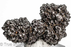 vtFV[Xg[ \ \̐ 50g Tn ґz OEfBO AXeCh f